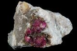 Roselite Crystals on Dolomite - Morocco #74298-1